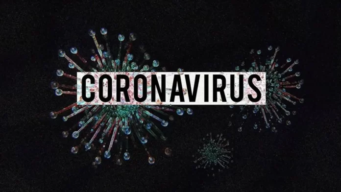 9911354_coronavirus_4923544_1920_Super_Portrait